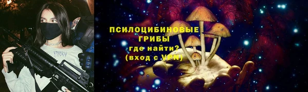 прущая мука Арсеньев
