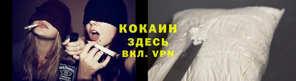 прущая мука Арсеньев