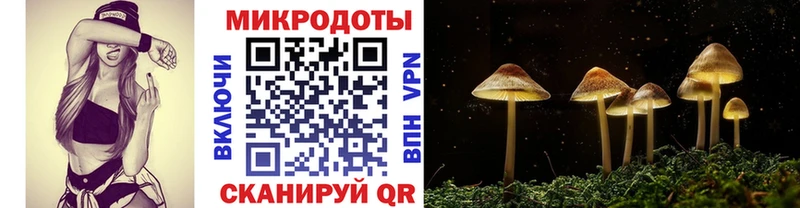 Псилоцибиновые грибы мицелий  Шахунья 